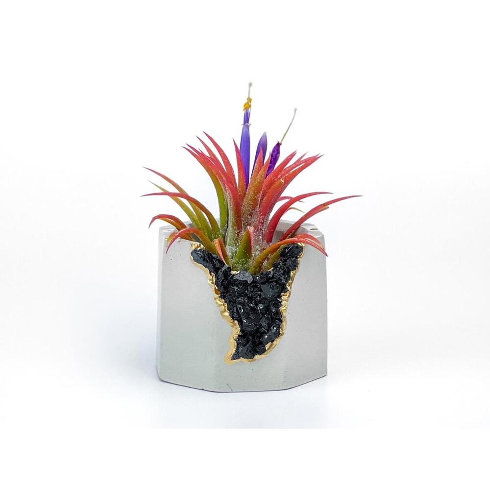 Black Tourmaline Geode Planter Handmade Succulent Pot yoga